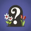 Find a Grave
