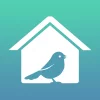 Bird Lover