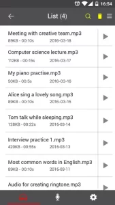 Voice Recorder
