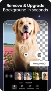 Picsart AI Photo Editor, Video