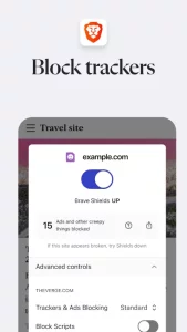Brave Private Web Browser, VPN
