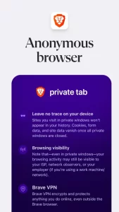 Brave Private Web Browser, VPN