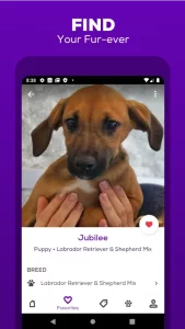 Petfinder - Adopt a Pet