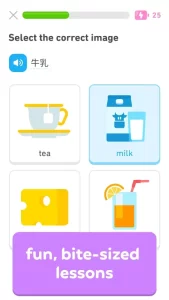 Duolingo: Language Lessons