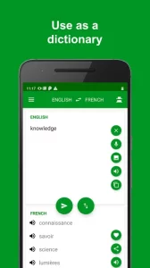 French - English Translator
