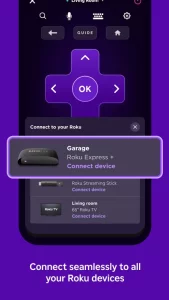 The Roku App (Official)