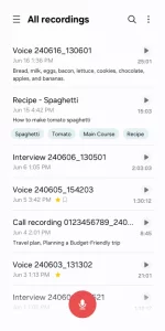 Voice Recorder