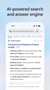 Microsoft Bing Search