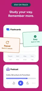 Quizlet: More than Flashcards