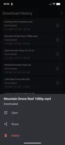 Download All Files