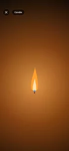 Flashlight - LED