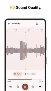 Voice Recorder