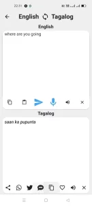 Tagalog To English Translator