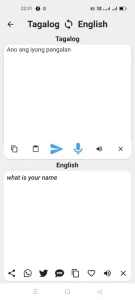 Tagalog To English Translator