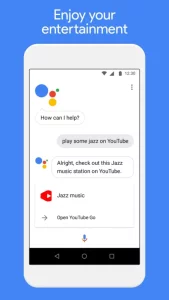 Google Assistant Go