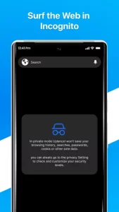 Internet Explorer Browser