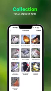 Bird Lover