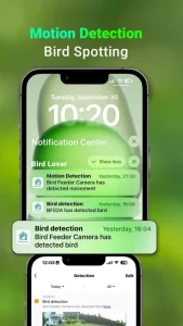 Bird Lover