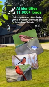 Bird Lover