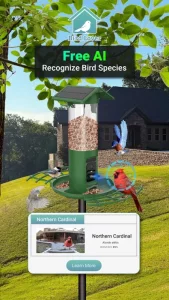 Bird Lover