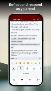 Bible Gateway