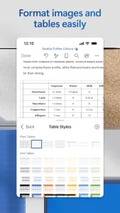 Microsoft Word: Edit Documents