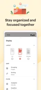 Todoist: To Do List & Calendar